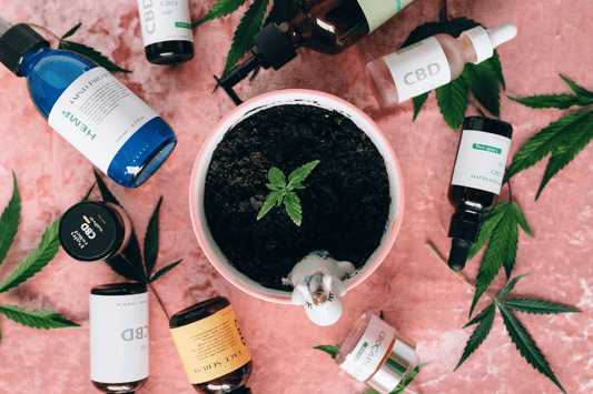 Does CBD Oil Expire and How can you check it ?